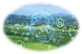 Digital Climate Ambassadors